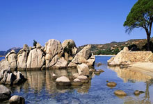 黑白体育-赛后体能课后，密尔沃基雄鹿手感冰凉备战西甲，媒体盛赞，年轻球员得到机会的简单介绍